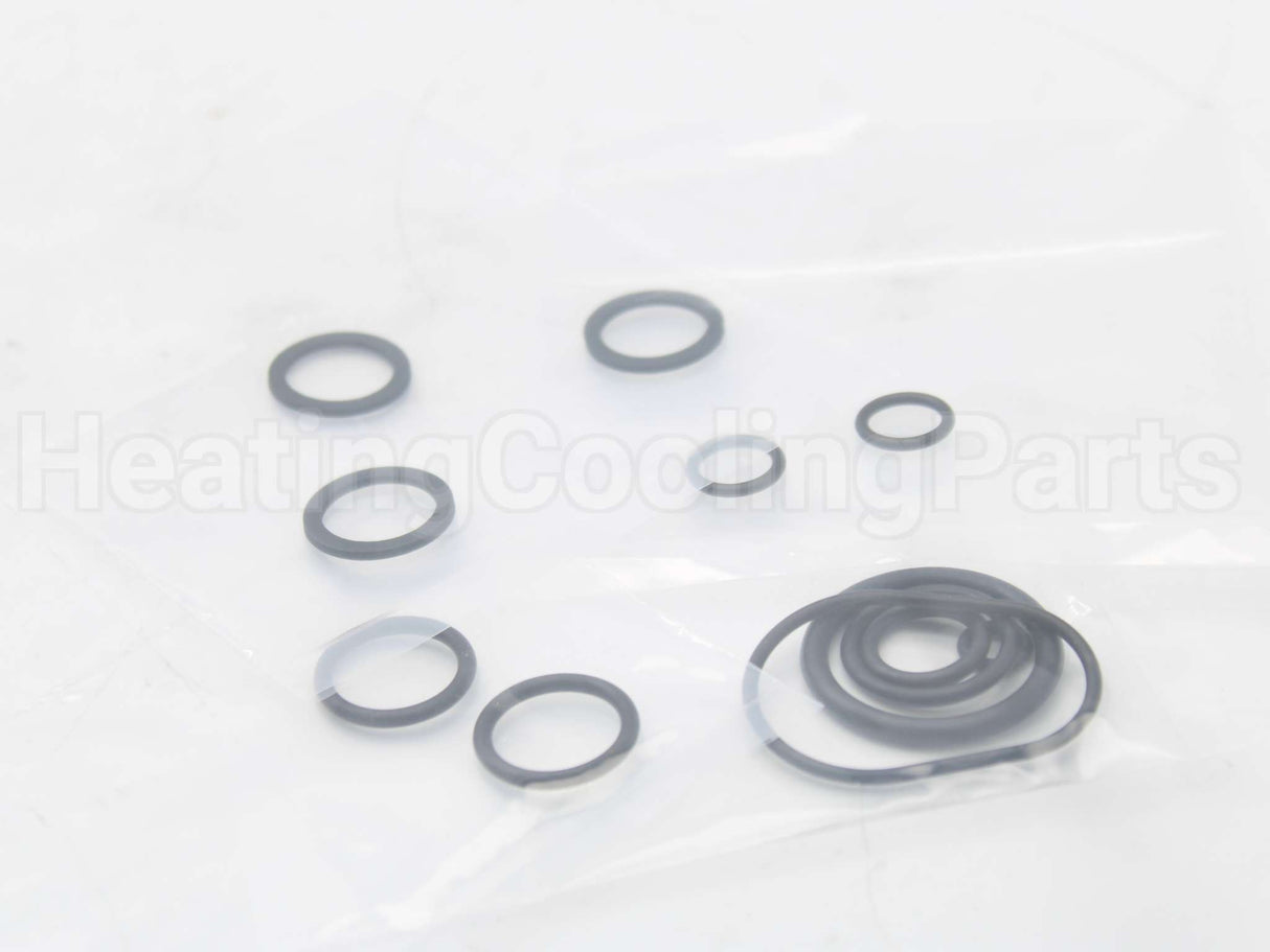 RTG20206 Rheem-Ruud Oring Kit Palona