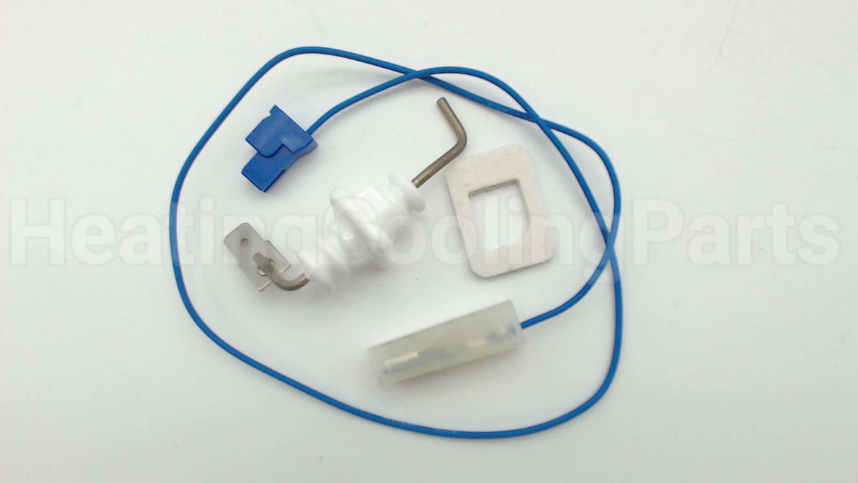 RTG20212BG Rheem-Ruud Electrode Fl2