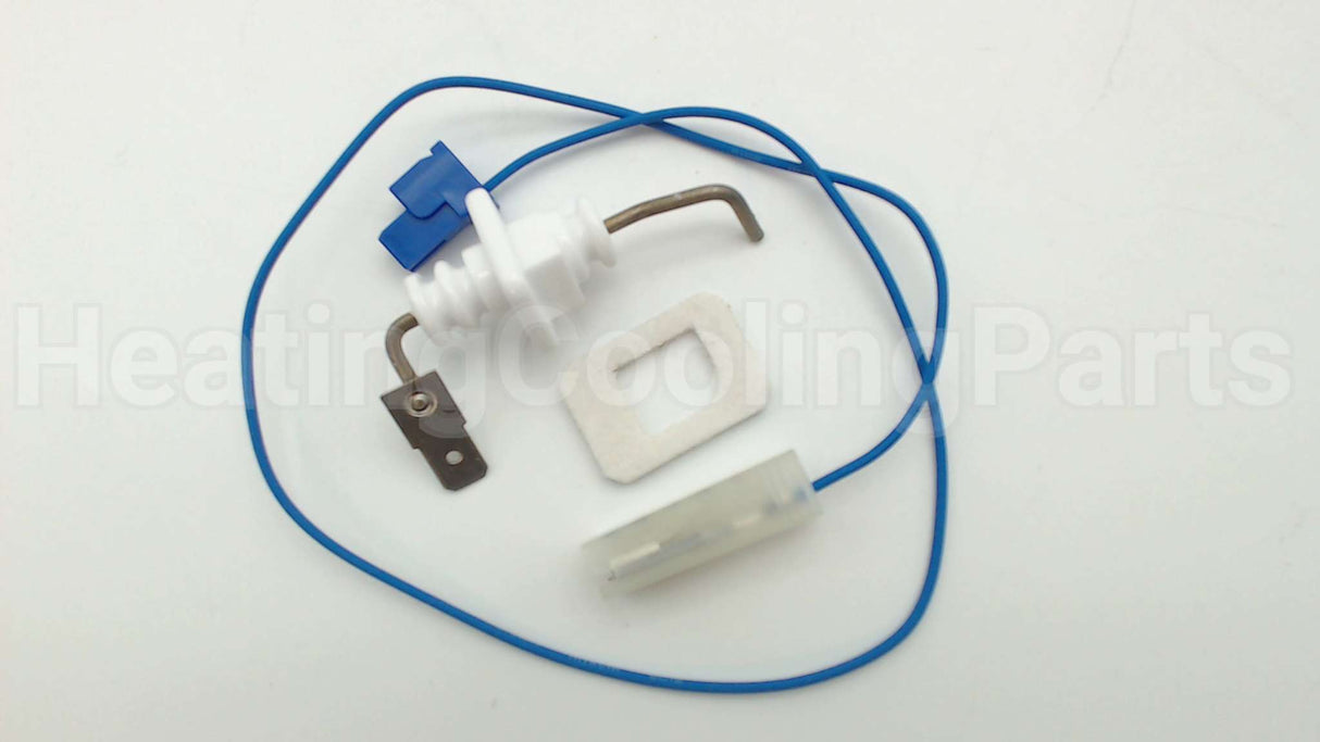 RTG20212BG Rheem-Ruud Electrode Fl2