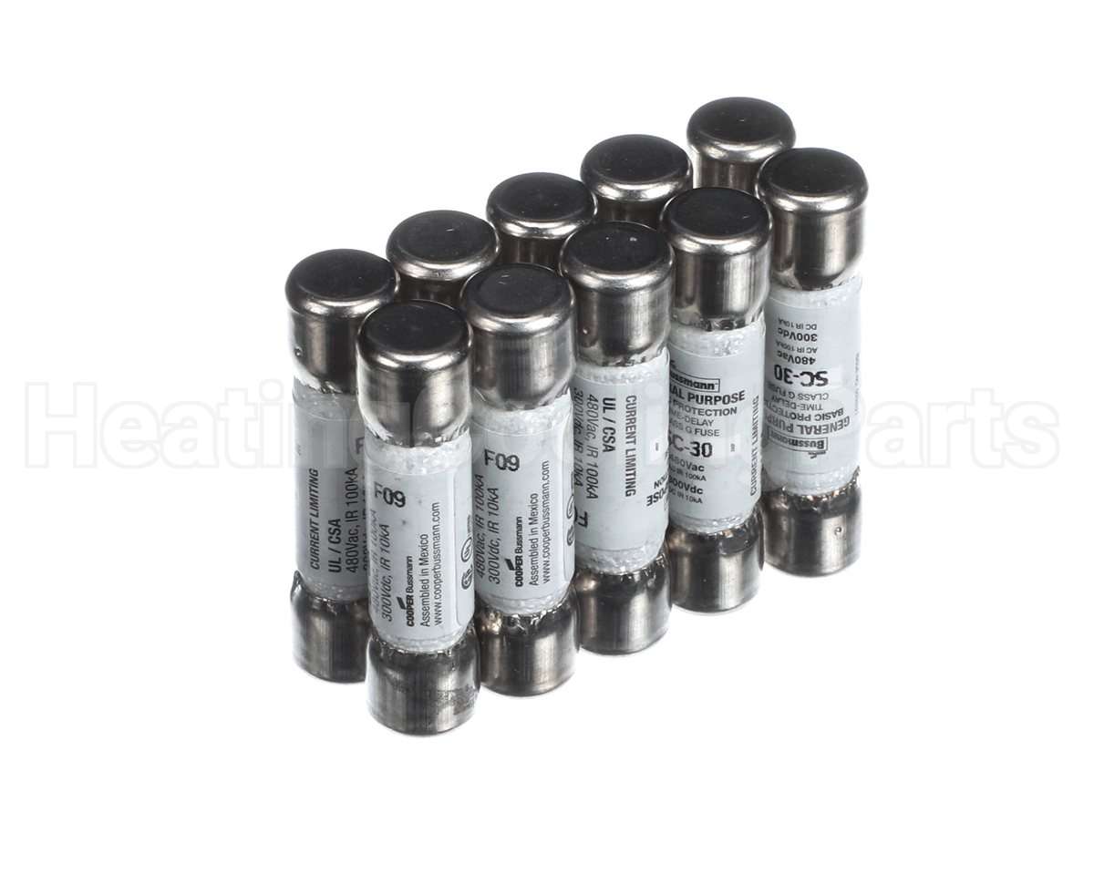 S1-SC30 York 480V Time Delay Buss Fuse 30A