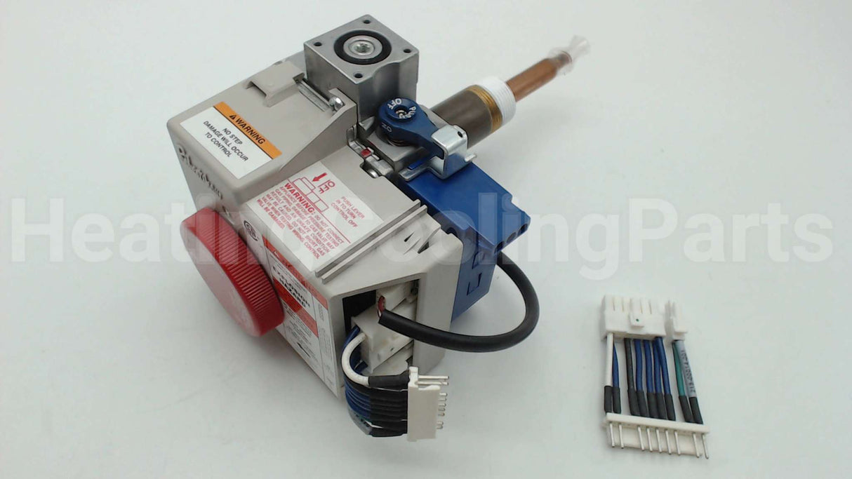 SP20161A Rheem-Ruud Ng Comb Valve Replacement Kit