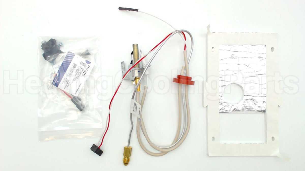 SP20739 Rheem-Ruud Pilot Assembly Ng