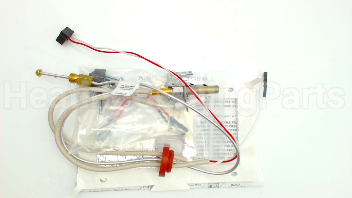SP20739 Rheem-Ruud Pilot Assembly Ng