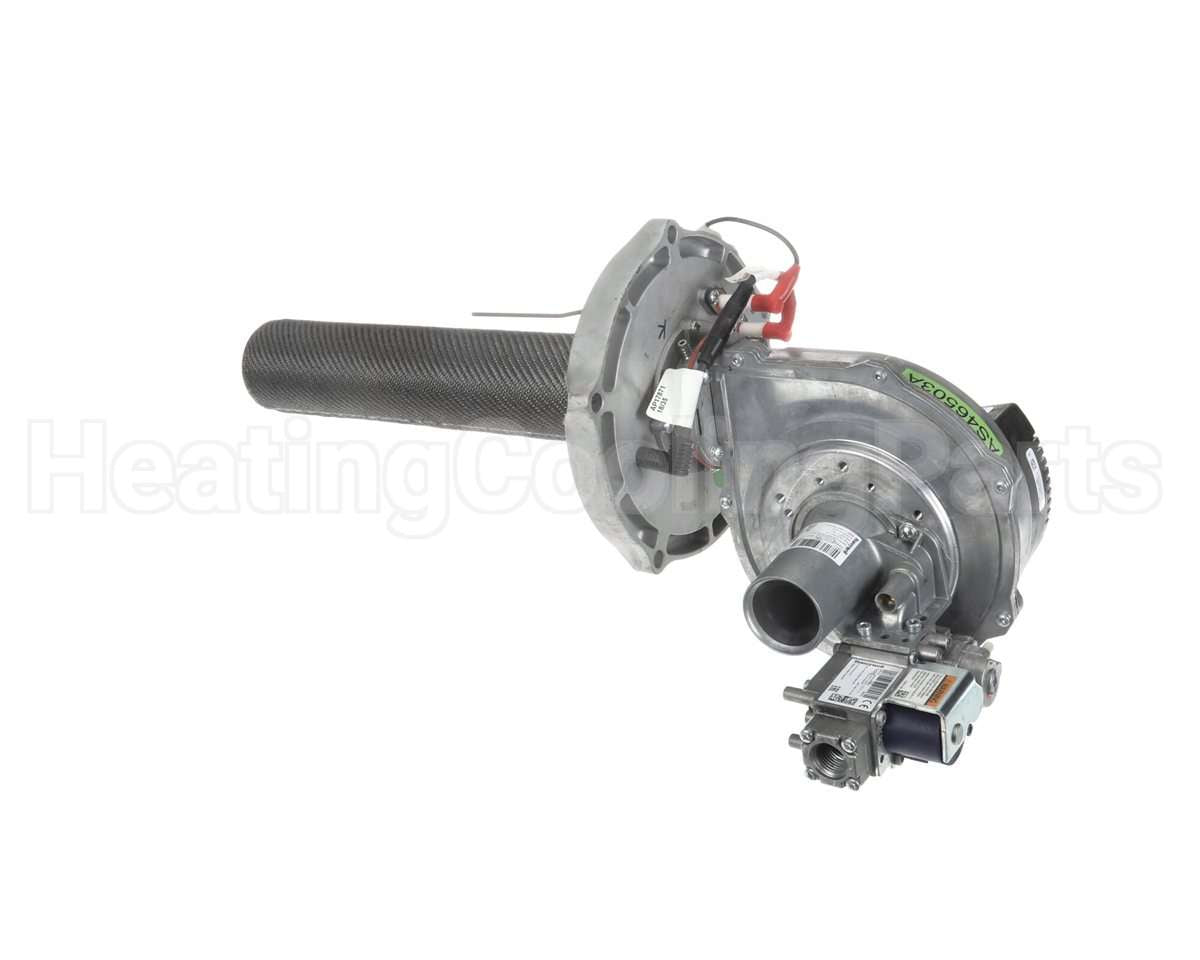 SP21001A Rheem-Ruud Combustin Assy Nat