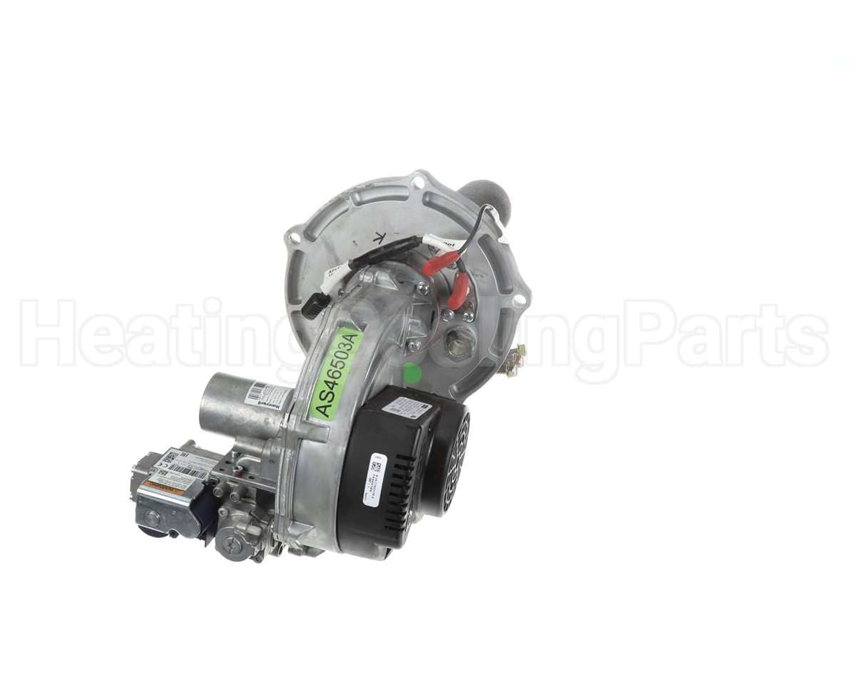 SP21001A Rheem-Ruud Combustin Assy Nat