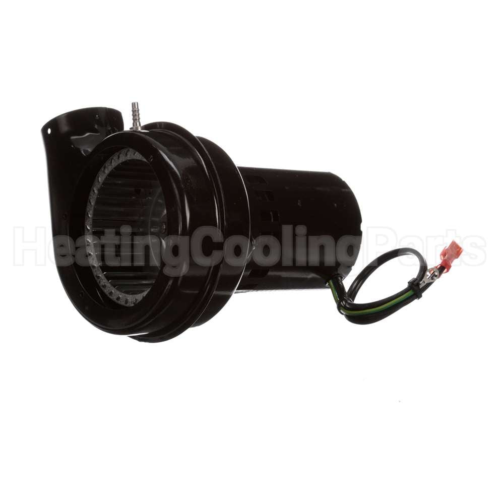 W8 Fasco Oem Replacement Motor