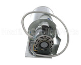 00000084 International Environmental Blowerassembly 115V