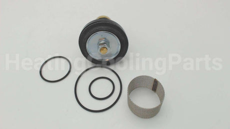 0006960 Watts N55B-Rk 1/2-1 Repair Kit