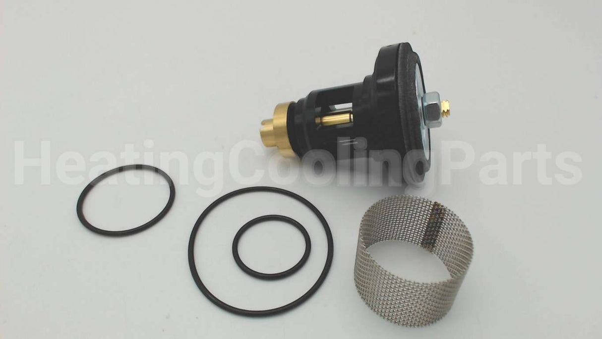 0006960 Watts N55B-Rk 1/2-1 Repair Kit