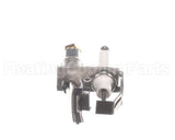 002234F Raypak Natural Gas Pilot Assembly