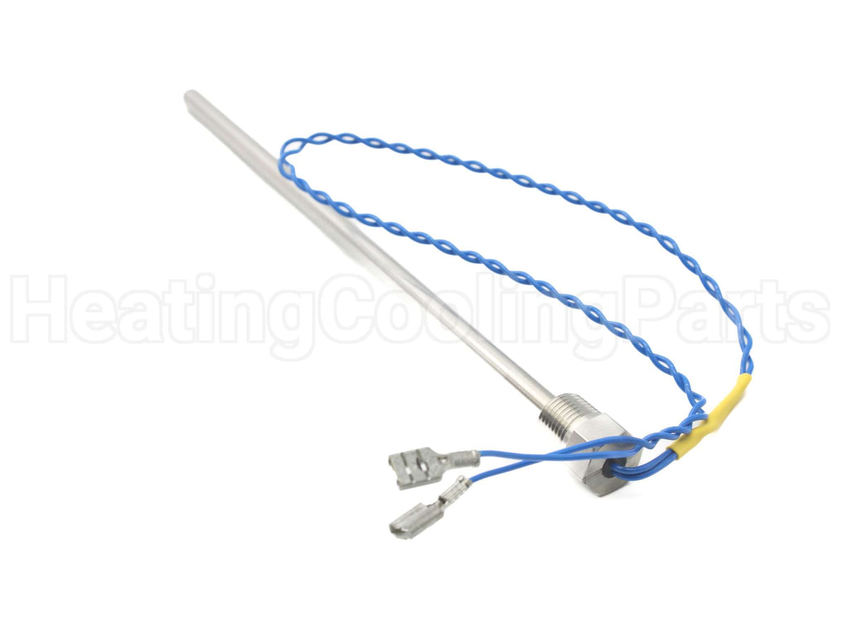 003943F Raypak Controlboard W/Probe,Fastrspns