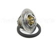 006719F Raypak Universal Governor