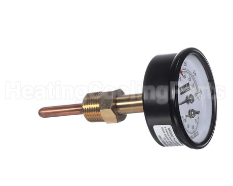 007399F Raypak Trigauge0/200# 70/320F 1/2"Bck