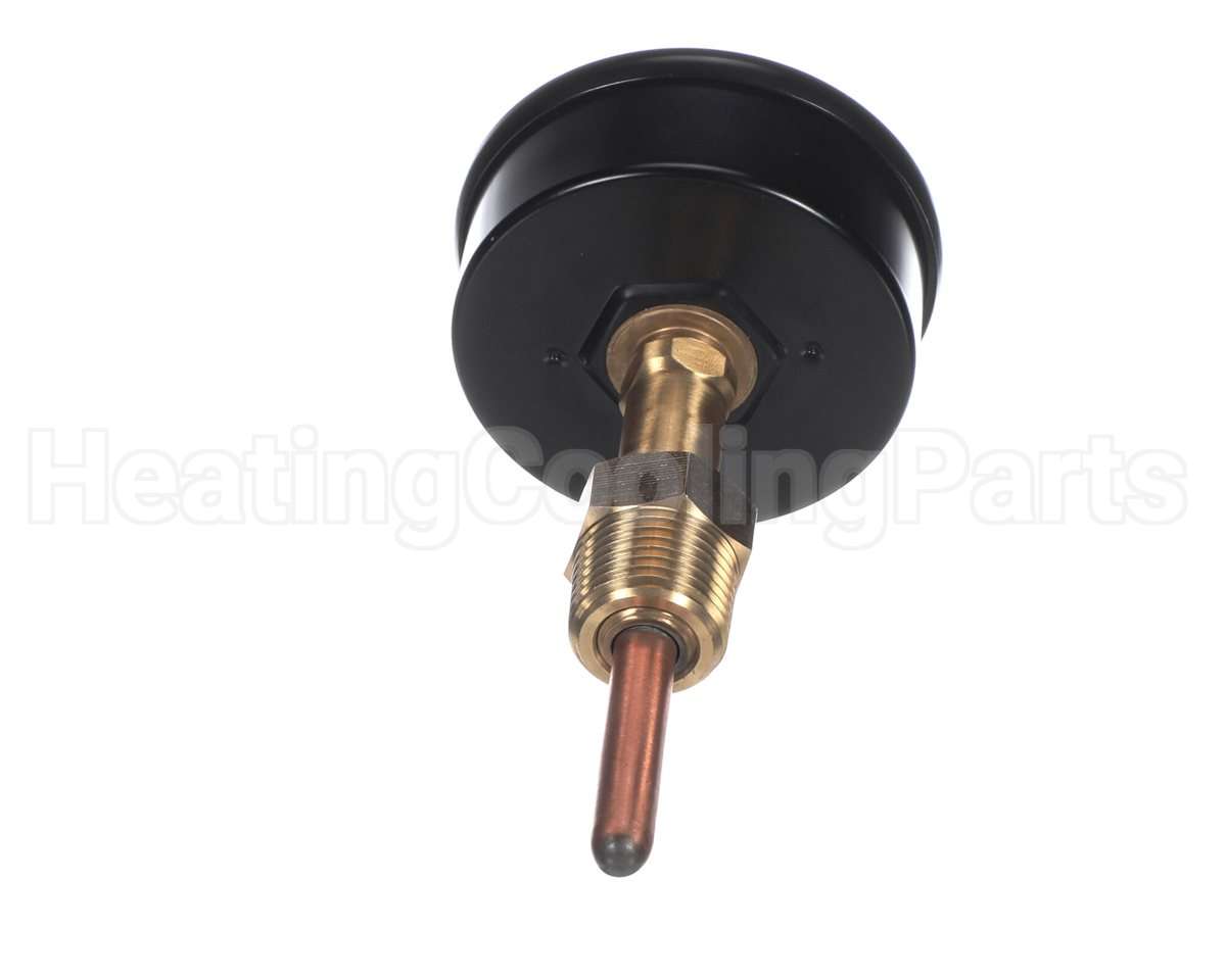 007399F Raypak Trigauge0/200# 70/320F 1/2"Bck