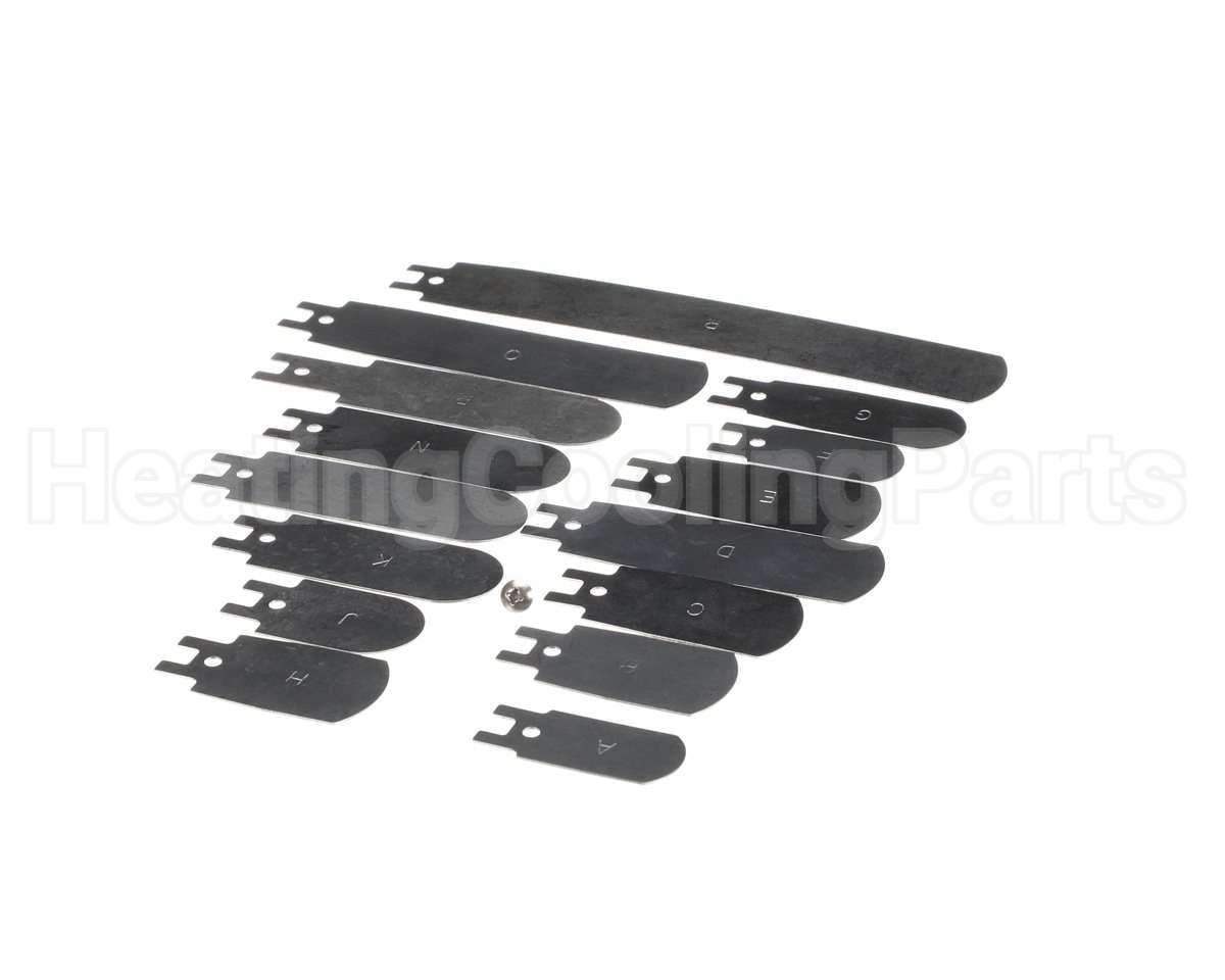 010026F Raypak Flow Switch Paddle Kit