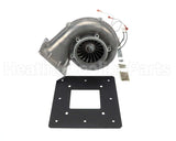 012445F Raypak Combustion Blower Assy