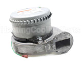 013195F Raypak Combustion Air Blower Assembly