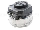 013196F Raypak Combustion Air Blower Assembly