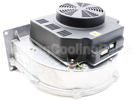 013196F Raypak Combustion Air Blower Assembly