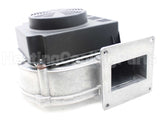 013196F Raypak Combustion Air Blower Assembly