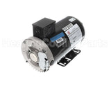 0131L00041S Amana-Goodman 208-230V 2Hp 1740Rpm Motor