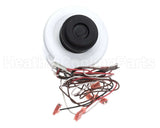 0131P00007SP Amana-Goodman 208/230V 1300Rpm 2Spd Motor