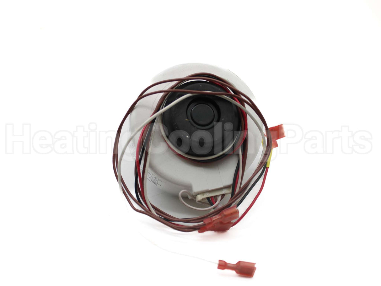 0131P00054SP Amana-Goodman 208-230V 12/15W 1100Rpm 2Spd