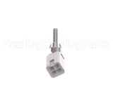 013932F Raypak Outlet Water Sensor