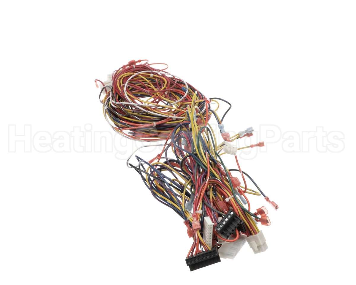 014680F Raypak Wire Harness