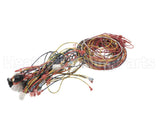 014680F Raypak Wire Harness