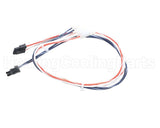 016500F Raypak J-Box Wire Harness In/Out Sen