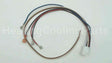 0259A00001P Amana-Goodman Wire Assembly