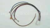 0259A00001P Amana-Goodman Wire Assembly