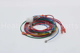 0259F00007P Amana-Goodman 12-Pin Repl Wiring Harness