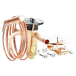 040318-01 Parker Expvalve, Thrmstatic 3/8 In, 1/2 Out, 60 Cap