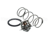 062234B Raypak Unitherm Governor