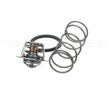 062234B Raypak Unitherm Governor