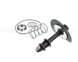 0887545 Watts Rk009M2-Vt,Relief Vlv Kit 2"
