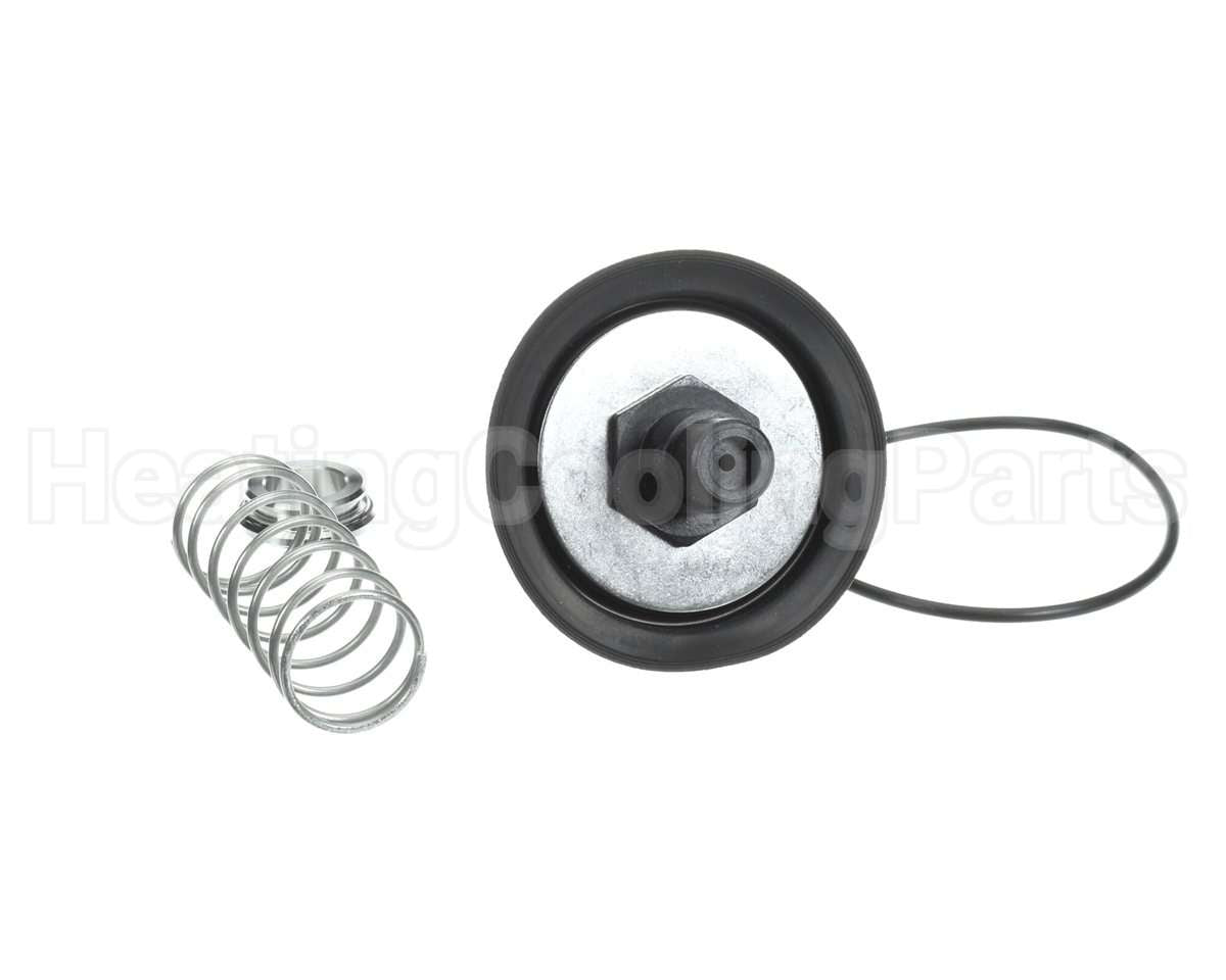 0887785 Watts Rk009M2Vt 1" Repair Kit
