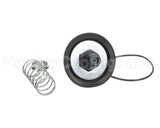 0887785 Watts Rk009M2Vt 1" Repair Kit