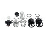 0888169 Watts 919 1" Repair Kit