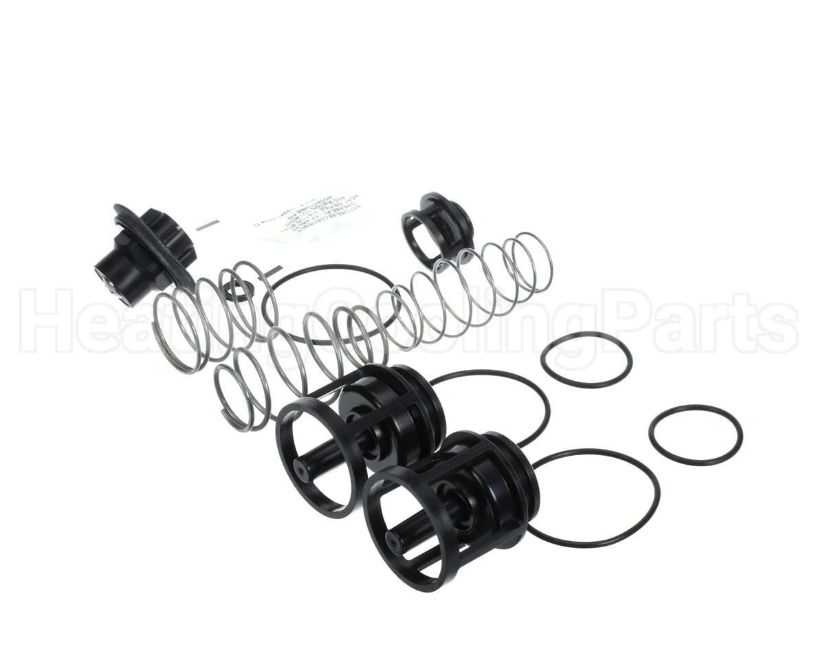 0888169 Watts 919 1" Repair Kit