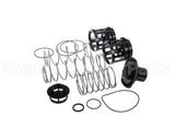 0888171 Watts Rk919T-2 Repair Kit