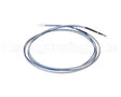 100074334 Lochinvar & A.o. Smith Overheat Cutoff Fuse
