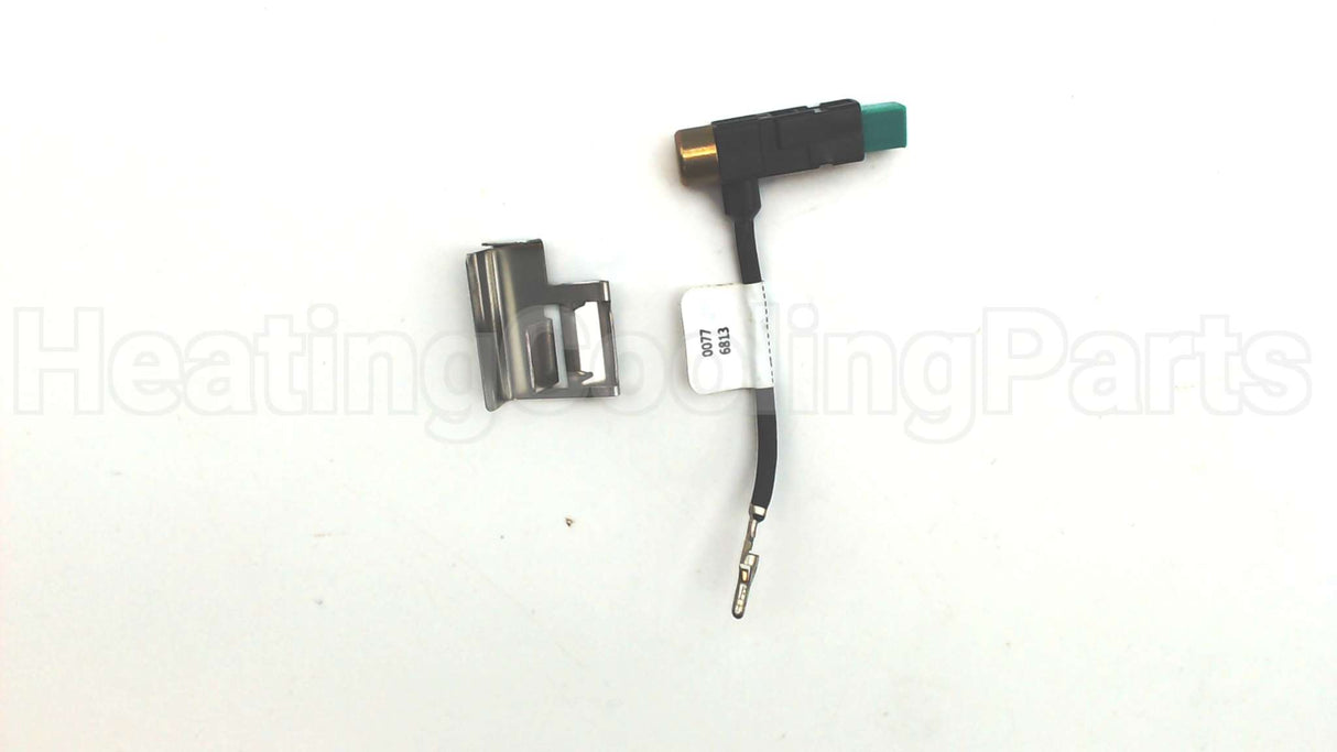100109221 Lochinvar & A.o. Smith Piezo Ignitor W/Bracketassy