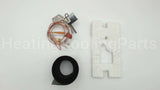 100109290 Lochinvar & A.o. Smith 180 Deg C Pilot Assembly Fv