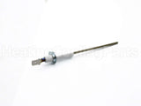 100109908 Lochinvar & A.o. Smith Flame Sensor