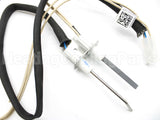 100109978 Lochinvar & A.o. Smith Ignitor Assembly