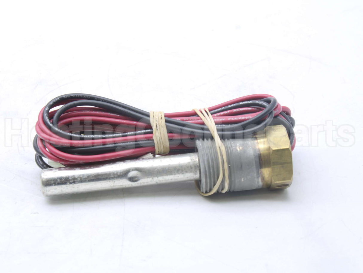 100110951 Lochinvar & A.o. Smith Probe Eco/Thermostat