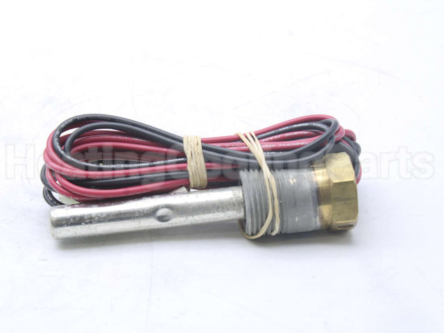 100110951 Lochinvar & A.o. Smith Probe Eco/Thermostat